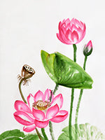 Load image into Gallery viewer, White & Gold - 20 Gauge Casket w/ Gasket - Lone Star Caskets